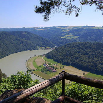 Utsikt over Donau og «Schlögener Schlinge» fra Steiner Felsen, Oberösterreich, Østerrike.