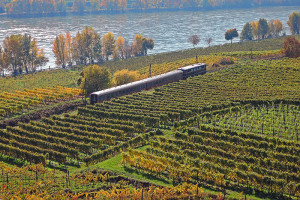 På togreise i Østerrike, Wachaubahn, Wachau, Niederösterriech, Østerrike