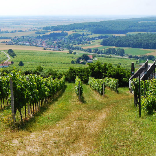 Sør-Burgenland,Østerrike