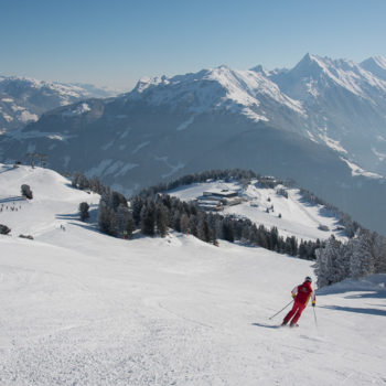 Skiløper i skibakken i Zillertal, Tirol, Østerrike