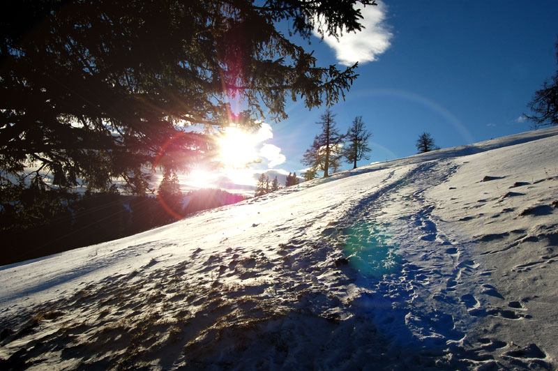 Vintervandring ved Teichalm, Steiermark, Østerrike