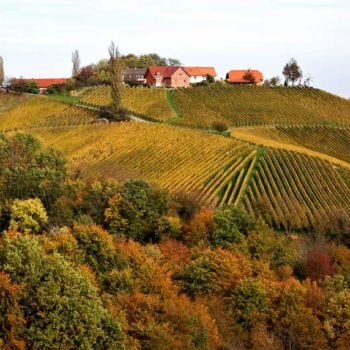 Vinvandring i Südsteiermark, Steiermark, Østerrike