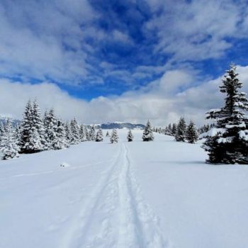 Trugespor i snøen på Weinebene, Steiermark