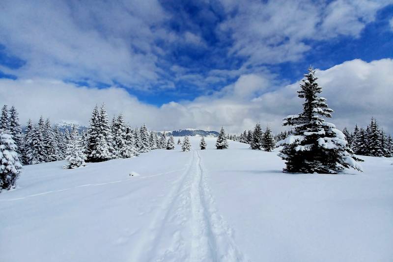 Trugespor i snøen på Weinebene, Steiermark