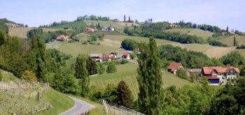 Vandring på Glanzer Weintour med utsikt til vinbergene i det sørlige Steiermark, Østerrike