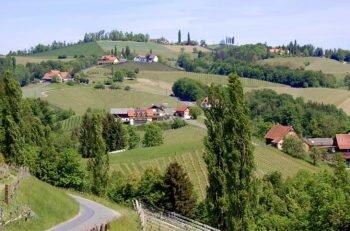 Vandring på Glanzer Weintour med utsikt til vinbergene i det sørlige Steiermark, Østerrike