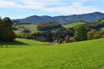 Utsikt fra panoramaweg i Wienerwald, Niederösterreich, Østerrike
